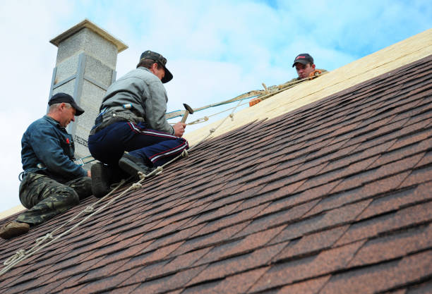 Best Shingle Roofing Installation  in Sanford, FL
