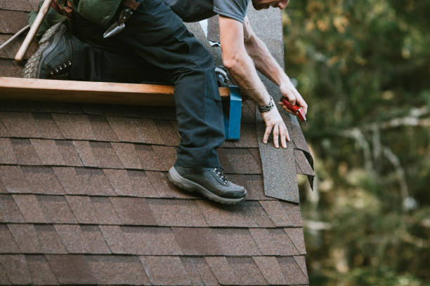 Best Roof Gutter Cleaning  in Sanford, FL